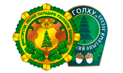 ГОЛХУ Стародорожинский опытный лесхоз ГОЛХУ Стародорожинский опытный лесхоз